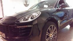 1170814 970699172985025 7781005746939919148 n