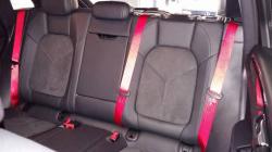 12509645 970699146318361 3133222808355593181 n