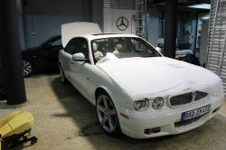 13063234 1028249900563285 2966361352747676667 o